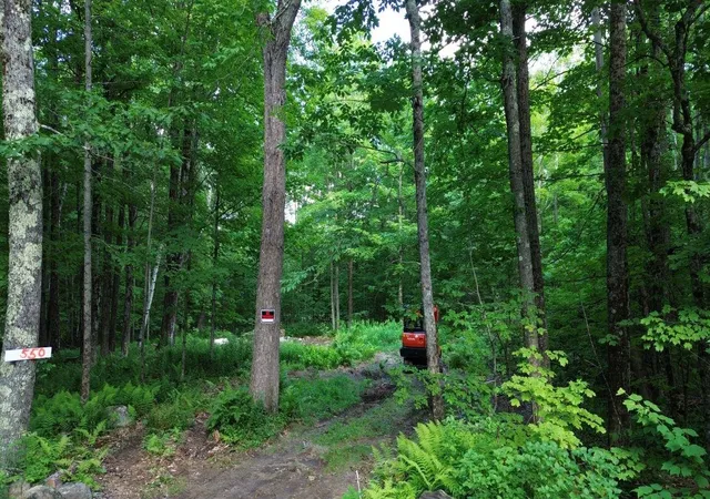 Homes for sale in Stoddard, NH | 550 Kings Hwy, Stoddard, NH 03464 | MLS# 5097182