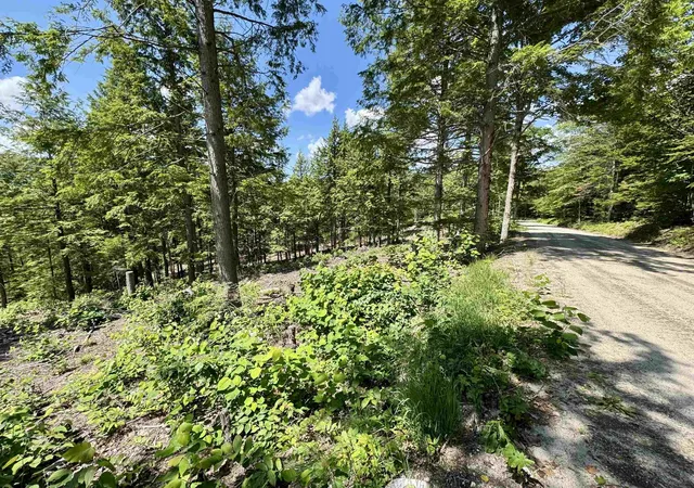 2nd image of 00 Annis Rd, Groton, VT 05046 | MLS# 5097249