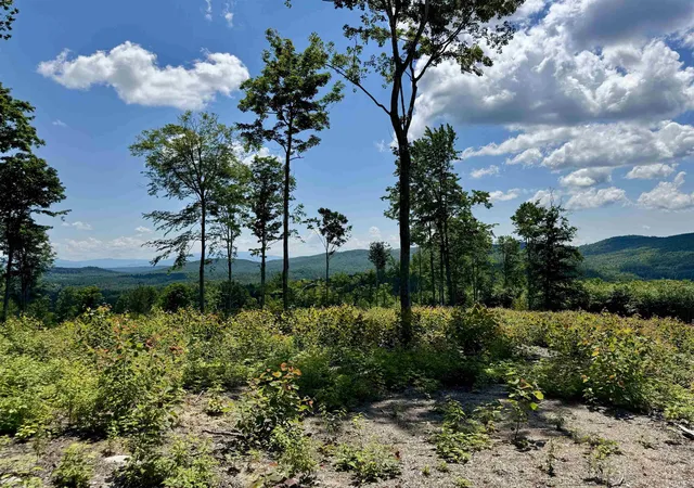 4th image of 00 Annis Rd, Groton, VT 05046 | MLS# 5097249