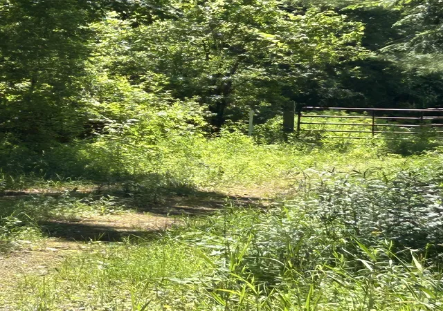9th image of 0 Truax Dr, Milton, VT 05468 | MLS# 5097277