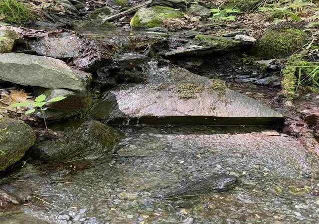 17th image of On Daniels Farm Rd, Waterford, VT 05819 | MLS# 5097302
