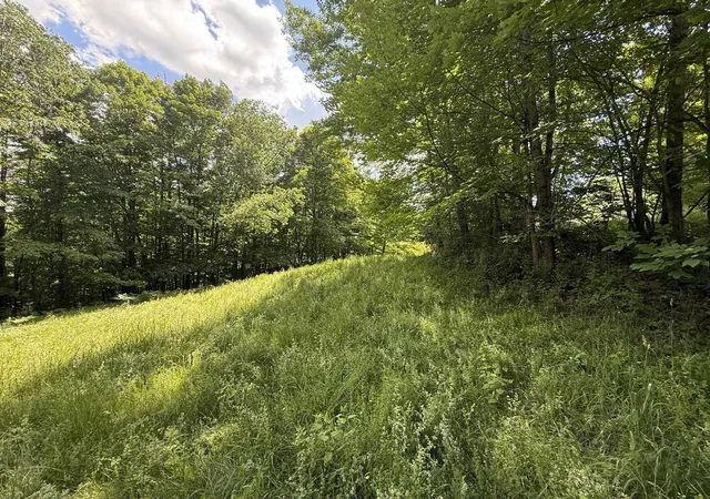 4th image of On Daniels Farm Rd, Waterford, VT 05819 | MLS# 5097302