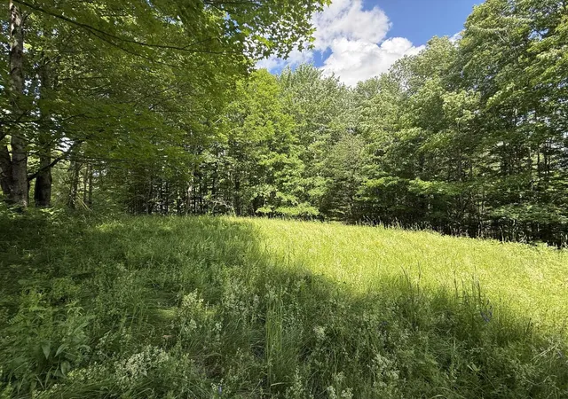 5th image of On Daniels Farm Rd, Waterford, VT 05819 | MLS# 5097302