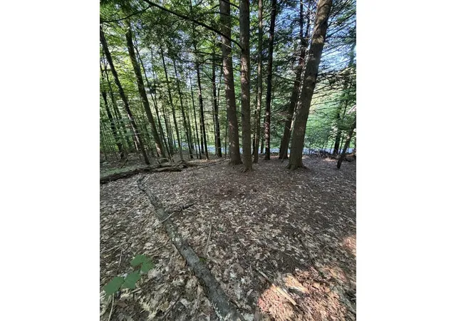 24th image of 0 Old Carriage Rd, Fayston, VT 05673 | MLS# 5097442