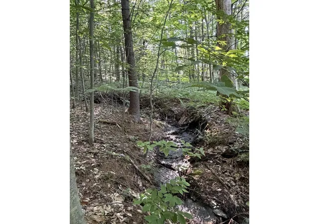 3rd image of 0 Old Carriage Rd, Fayston, VT 05673 | MLS# 5097442