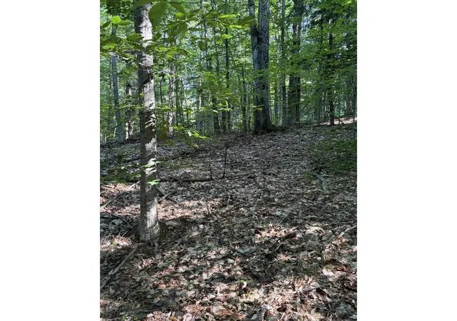 5th image of 0 Old Carriage Rd, Fayston, VT 05673 | MLS# 5097442