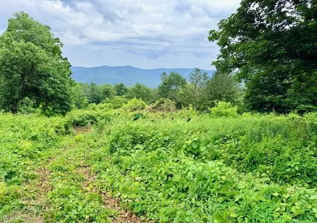 Homes for sale in Pownal, VT | 510 Center St, Pownal, VT 05261 | MLS# 5097453