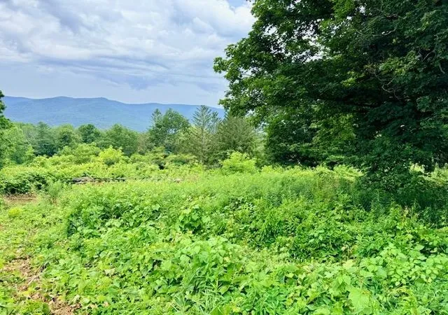 Homes for sale in Pownal, VT | 510 Center St, Pownal, VT 05261 | MLS# 5097453
