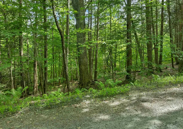 Homes for sale in Hartford, VT | 0 Safford Rd, Hartford, VT 05059 | MLS# 5097462