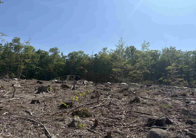 2nd image of 10 Sugarloaf Dr, Ossipee, NH 03814 | MLS# 5097512