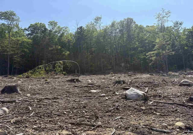 3rd image of 10 Sugarloaf Dr, Ossipee, NH 03814 | MLS# 5097512