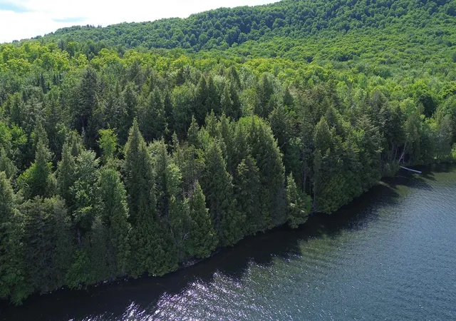 5th image of 1220 Camp Winape Rd, Morgan, VT 05829 | MLS# 5097530