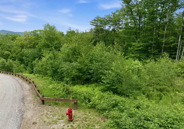 Homes for sale in Ashland, NH | 6 Squam River Lndg, Ashland, NH 03217 | MLS# 5097538