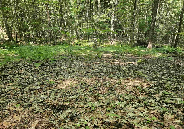 1st image of 234 Old Cheshire Turnpike, Walpole, NH 03608 | MLS# 5097584