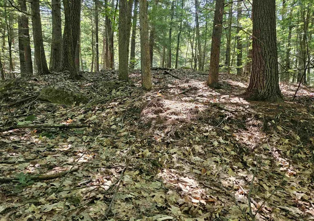 2nd image of 234 Old Cheshire Turnpike, Walpole, NH 03608 | MLS# 5097584