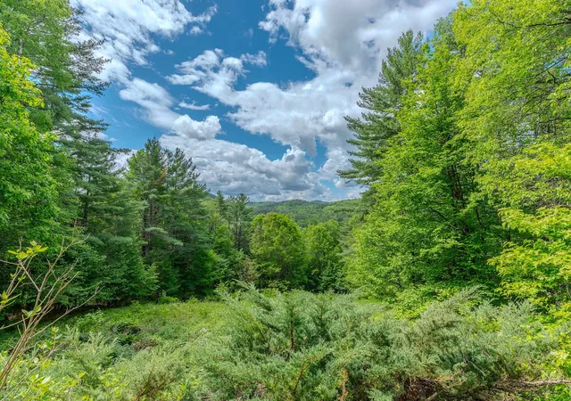 Homes for sale in Chester, VT | 223 Coach Rd, Chester, VT 05143 | MLS# 5097600