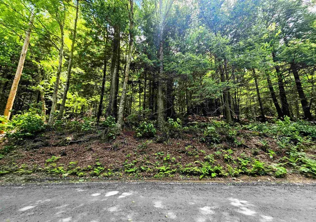 Homes for sale in Wardsboro, VT | Smead Rd, Wardsboro, VT 05355 | MLS# 5097619