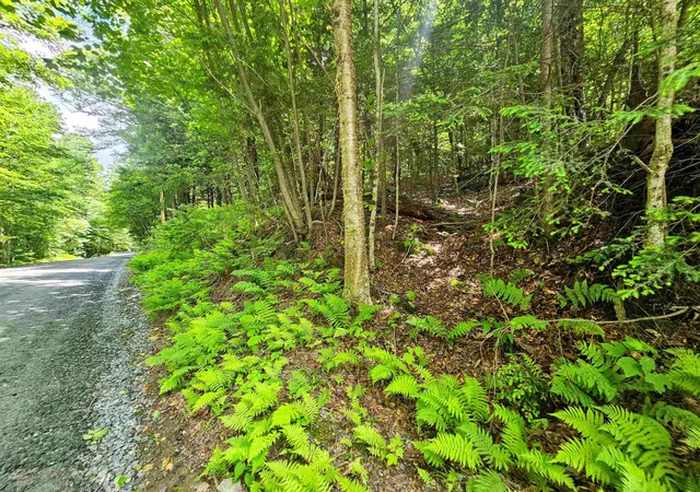 Homes for sale in Wardsboro, VT | Smead Rd, Wardsboro, VT 05355 | MLS# 5097619