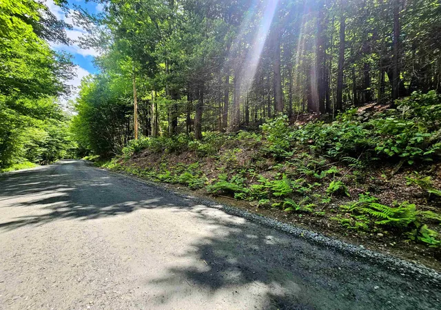 Homes for sale in Wardsboro, VT | Smead Rd, Wardsboro, VT 05355 | MLS# 5097619