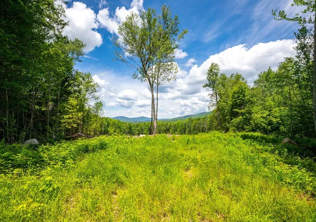 Homes for sale in Andover, VT | 00 Little Pond Rd, Andover, VT 05143 | MLS# 5097693