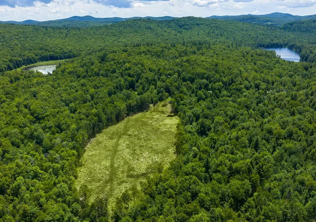 Homes for sale in Andover, VT | 00 Little Pond Rd, Andover, VT 05143 | MLS# 5097693