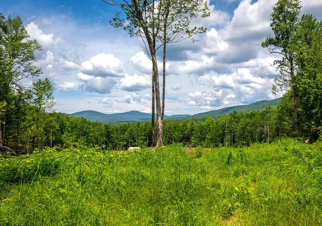 Homes for sale in Andover, VT | 00 Little Pond Rd, Andover, VT 05143 | MLS# 5097693