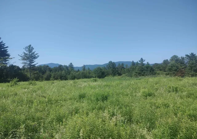 4th image of 0 Plot Rd, Johnson, VT 05656 | MLS# 5097803