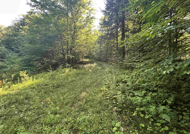Homes for sale in Londonderry, VT | 0 Rose Ln, Londonderry, VT 05148 | MLS# 5097818