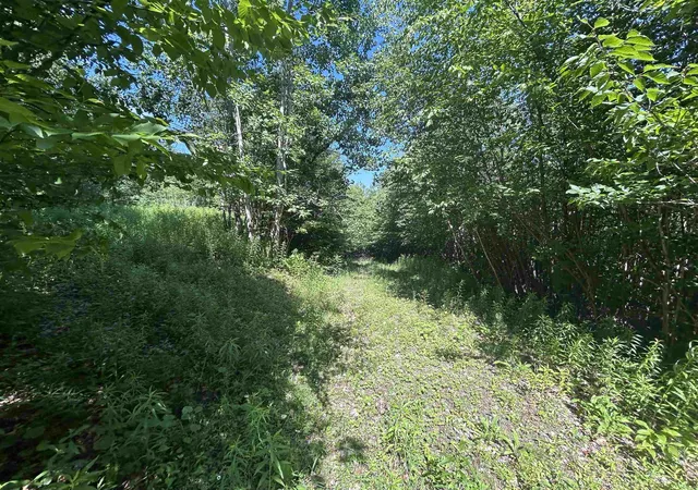 Homes for sale in Londonderry, VT | 0 Rose Ln, Londonderry, VT 05148 | MLS# 5097818