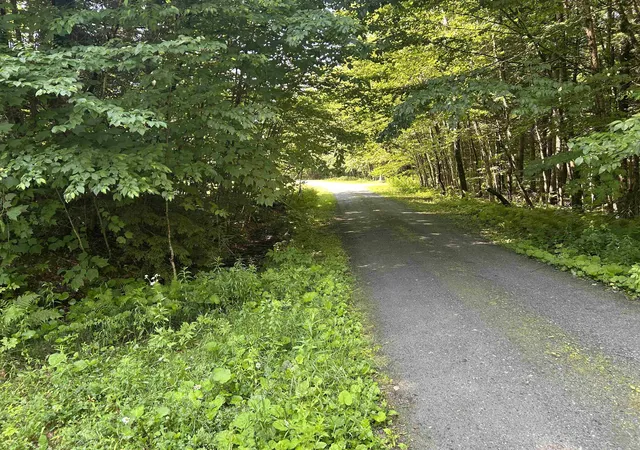 Homes for sale in Londonderry, VT | 0 Rose Ln, Londonderry, VT 05148 | MLS# 5097818