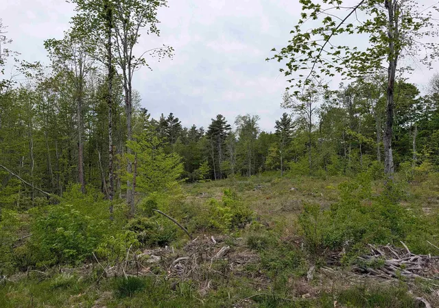 3rd image of 367 Height Of Land Rd, Grafton, NH 03240 | MLS# 5097842