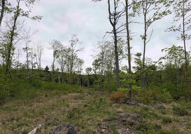 5th image of 367 Height Of Land Rd, Grafton, NH 03240 | MLS# 5097842