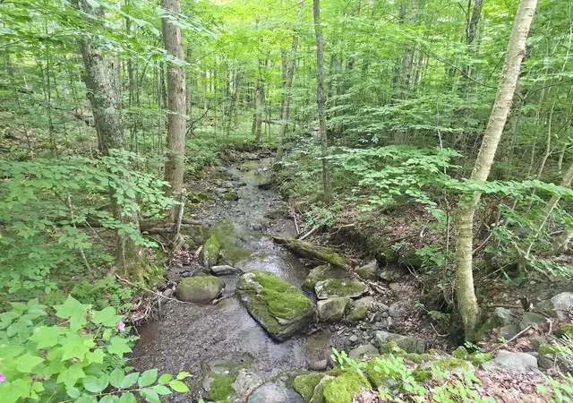 Photo 4 of Single family home for sale at 1483 Enosburg Mountain Rd, Enosburg Falls, VT 05450 | MLS# 5097906 | Listing updated on 2026-09-15