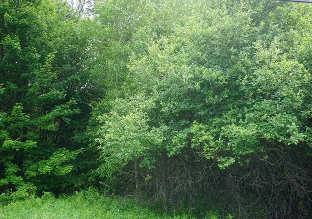 4th image of Lot 1 Highbridge Rd, Georgia, VT 05454 | MLS# 5097919