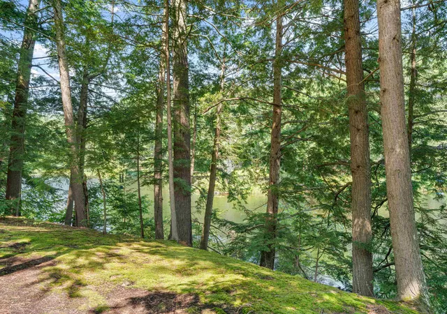 Homes for sale in Webster, NH | 151 New Hampshire Dr, Webster, NH 03303 | MLS# 5097923
