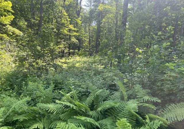 Photo 3 of Land for sale at 33 Bean Rd, Plainfield, NH 03781 | MLS# 5097933 | Listing updated on 2026-08-31