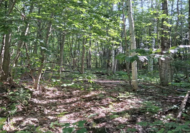1st image of Lot 3 Ballground Rd, Westfield, VT 05874 | MLS# 5097946