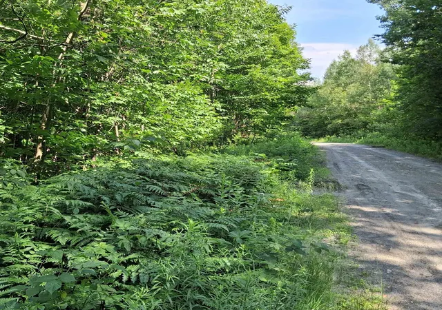 2nd image of Lot 4 Ballground Rd, Westfield, VT 05874 | MLS# 5097949