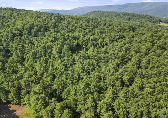 Photo 4 of Land for sale at 468 Skyboro Rd, Pownal, VT 05261 | MLS# 5097950 | Listing updated on 2026-07-23