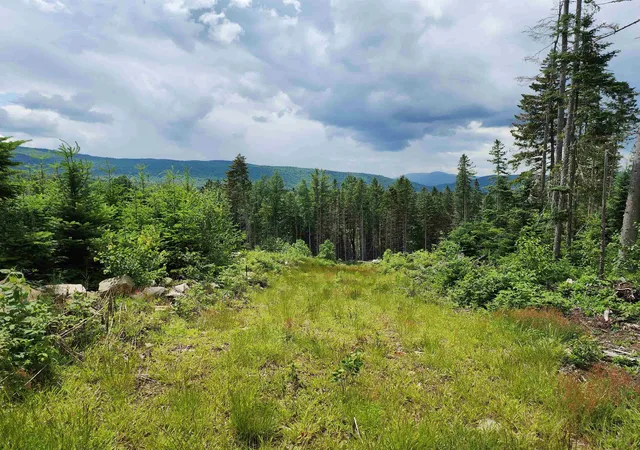 Homes for sale in Errol, NH | 65 Hall Rd, Errol, NH 03579 | MLS# 5097951