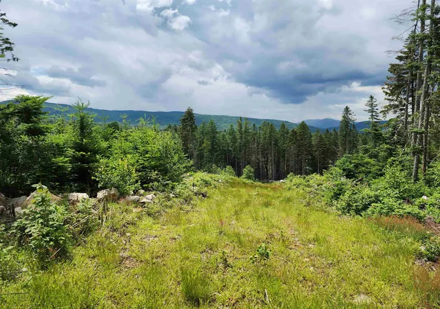 Homes for sale in Errol, NH | 65 Hall Rd, Errol, NH 03579 | MLS# 5097951