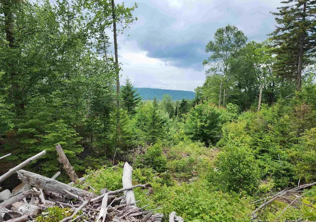 Homes for sale in Errol, NH | 65 Hall Rd, Errol, NH 03579 | MLS# 5097951