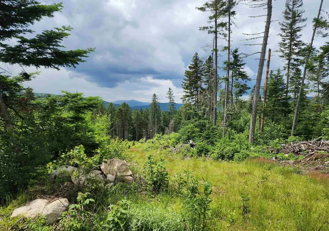 Homes for sale in Errol, NH | 65 Hall Rd, Errol, NH 03579 | MLS# 5097951