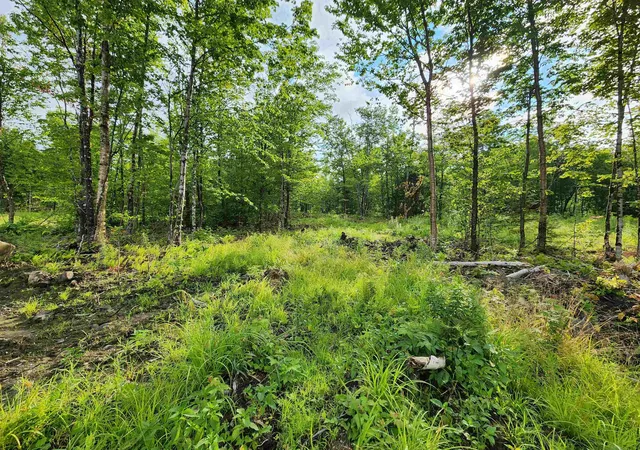 Homes for sale in Errol, NH | Lot 14 Ginnie Ln, Errol, NH 03579 | MLS# 5097996