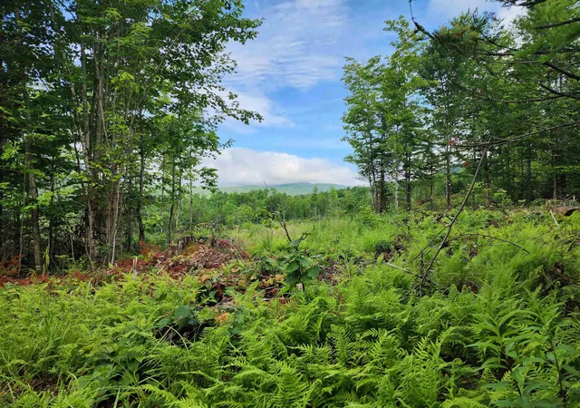 Homes for sale in Errol, NH | Lot 15 Ginnie Ln, Errol, NH 03579 | MLS# 5097999