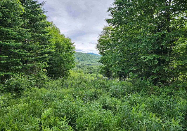 Homes for sale in Errol, NH | Lot 15 Ginnie Ln, Errol, NH 03579 | MLS# 5097999