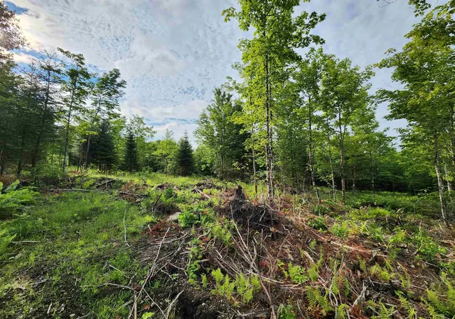 Homes for sale in Errol, NH | Lot 15 Ginnie Ln, Errol, NH 03579 | MLS# 5097999