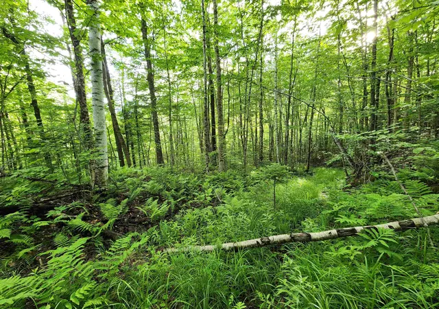 Homes for sale in Errol, NH | Lot 18 Ginnie Ln, Errol, NH 03579 | MLS# 5098018