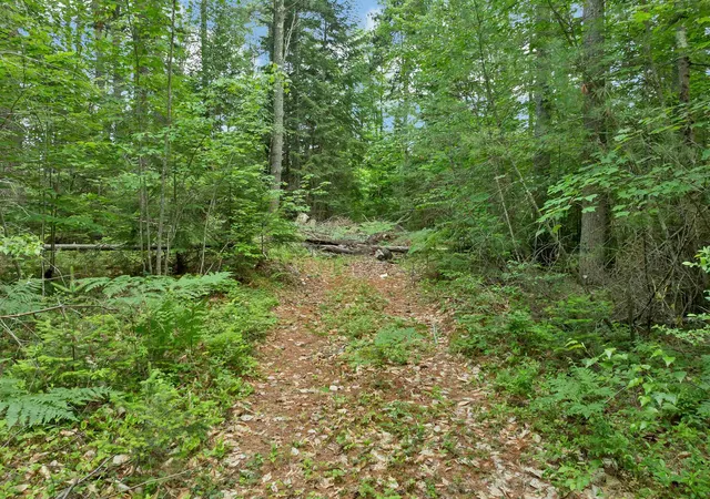 33rd image of Lot 417 46 Stevens Rd, Effingham, NH 03882 | MLS# 5098023