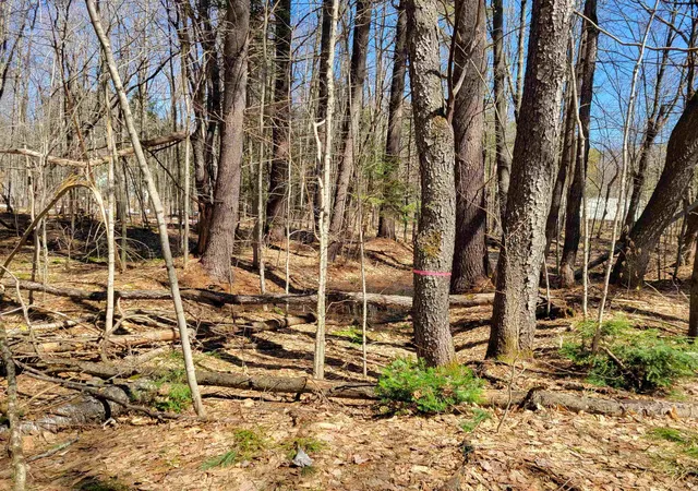 Homes for sale in Woodstock, NH | Map 105 Lot 20 Lost River Rd, Woodstock, NH 03262 | MLS# 5098035